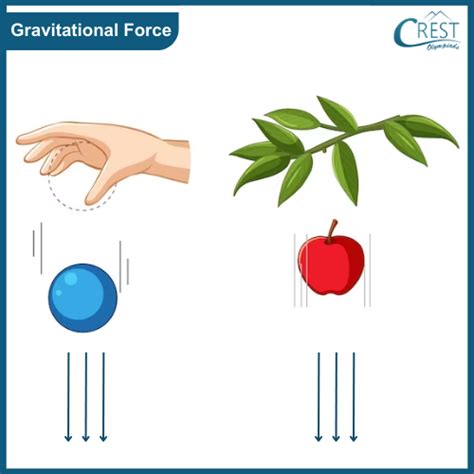 Gravitational Force Examples