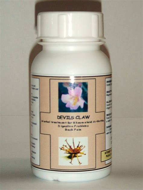 Devils Claw Capsules - Western Cape Hoodia - ecplaza.net