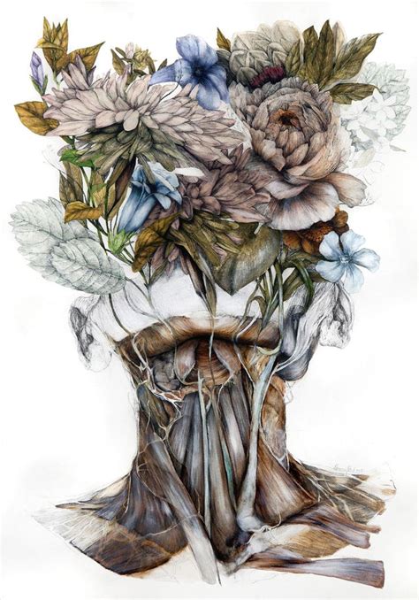 Mimesis: New Anatomical Paintings Depicting Flora and Fauna by Nunzio Paci — Colossal | Anatomy ...