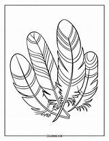 115  Feather Coloring Pages For Kids & Adults Free Printable PDFs sketch template