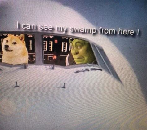 Omgggg dog and shrek road trip : r/okbuddyretard