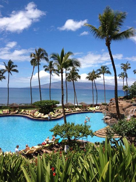 an outdoor swimming pool surrounded by palm trees and the ocean in the backround