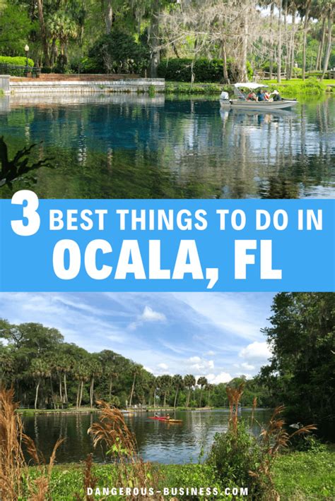 4 Unique Things to Do in Ocala, Florida