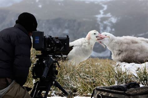 The Tech Behind Our Planet, David Attenborough's First Netflix Show ...