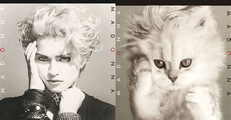 Famous Album Covers Recreated as Cat Photos | PetaPixel