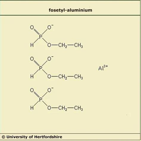 Fosetyl-Aluminium 80 WP Crop Protection at best price in Mumbai