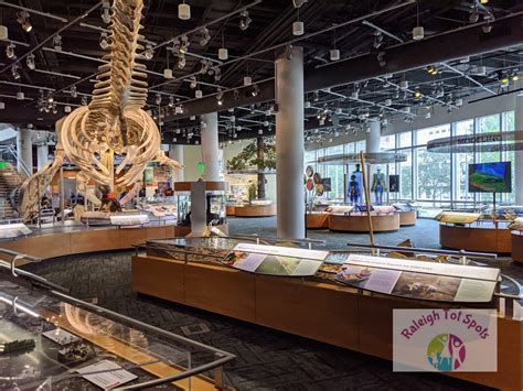 A Review of the NC Museum of Natural Sciences - Raleigh Tot Spots