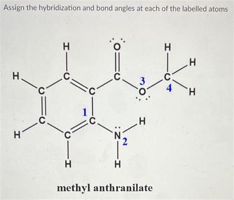 [Solved]: please answer and explain Assign the hybridization