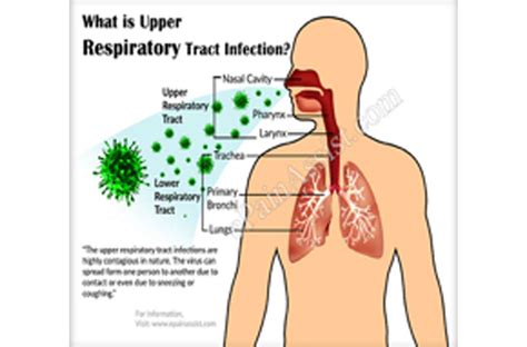 Upper Respiratory Infection