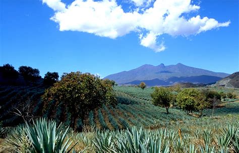 Volcán de Tequila - TuriMexico