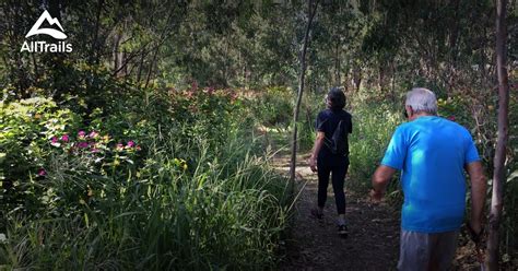 Best hikes and trails in Modderfontein Nature Reserve | AllTrails