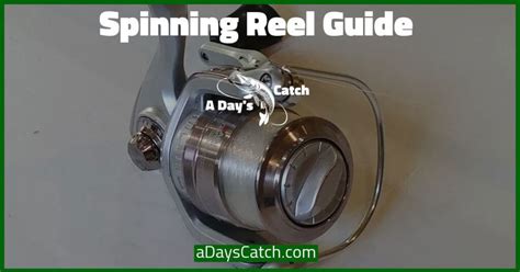 Spinning Fishing Reel Guide – Size, Trigger, Bearings & More | A Day's Catch