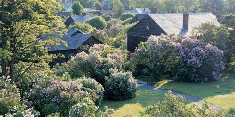 Springtime at Shelburne Museum - Shelburne Museum