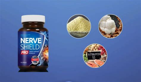 Nerve Shield Pro Reviews: Safe, Effective Nerve Support Or Waste Of Money? - health-everyday