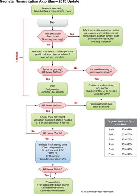 The 2015 ILCOR/AHA/ERC advanced life support guidelines (ACLS) – First10EM