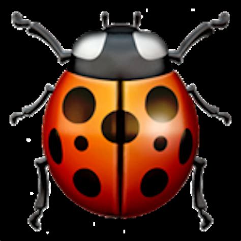 🐞 Lady Beetle Emoji Copia Incolla 🐞