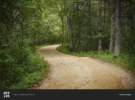 Empty winding dirt road through forest stock photo - OFFSET