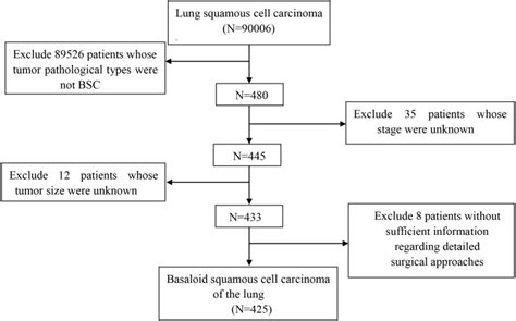 Clinical characteristics and prognosis of basaloid squamous cell carcinoma of the lung: a ...