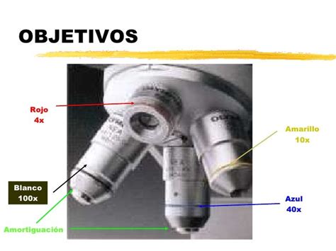 1-2 El Microscopio