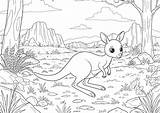 Kangaroo In The Australian Desert  Coloring Pages sketch template