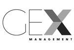 Gex Announces 2021 Strategic Outlook and Business