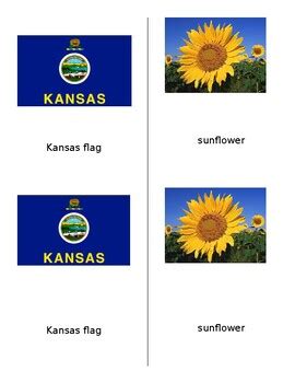 Kansas State Symbols 3-part cards by Shannon Rasmussen | TPT