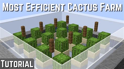 Minecraft Schematics Cactus Farm