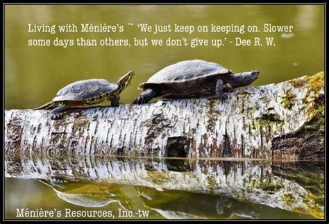 Pin by Meniere's Resources, Inc. on Quotes | Turtle images, Turtle, World turtle day