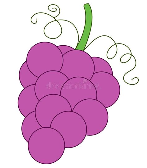 Purple grape stock illustration. Illustration of grapes - 11630510