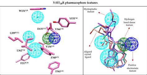 Structure, Function, and Pharmaceutical Ligands of 5-Hydroxytryptamine ...