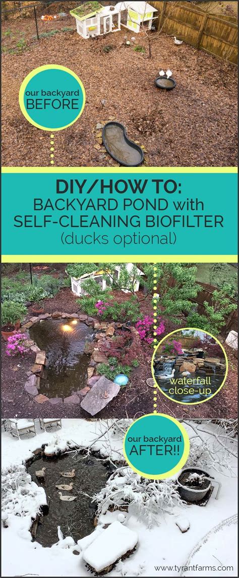 How to build a DIY backyard pond with self-cleaning biofilter Backyard Ducks, Backyard Farming ...