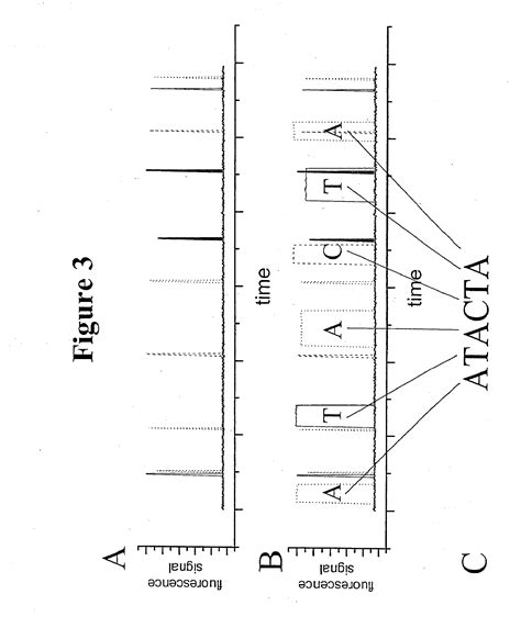 High Speed Nucleic Acid Sequencing – Patentrometrics