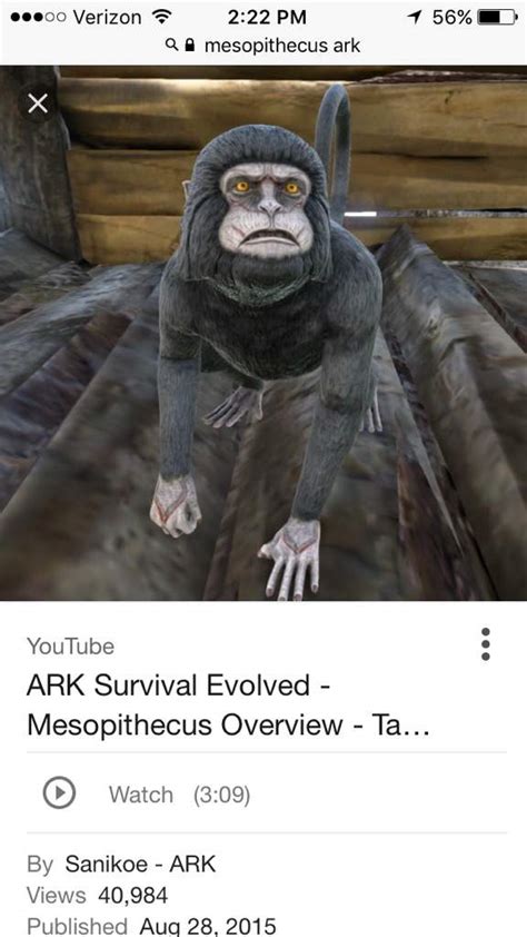 My monkey saved us during a raid | Ark Survival Evolved Amino