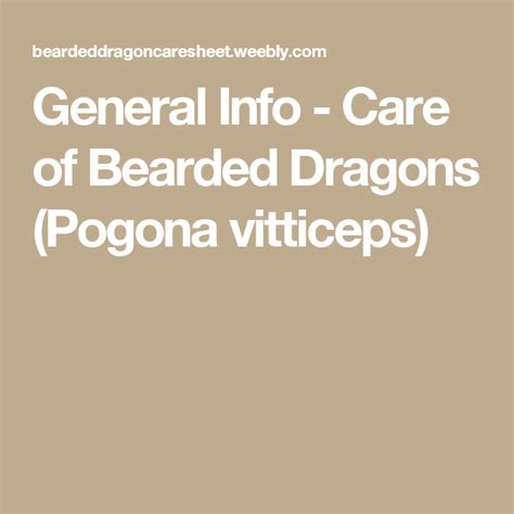 General Info - Care of Bearded Dragons (Pogona vitticeps) | Bearded dragon, Bearded dragon diet ...