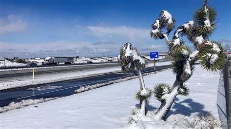 Roads closed throughout San Bernardino National Forest