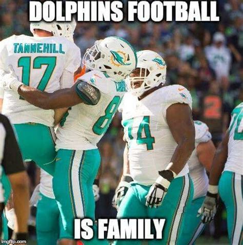 2889 best miami dolphins memes images on Pinterest | Miami dolphins ...