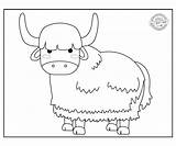 Free Printable Yak Coloring Page  Kochify The News sketch template