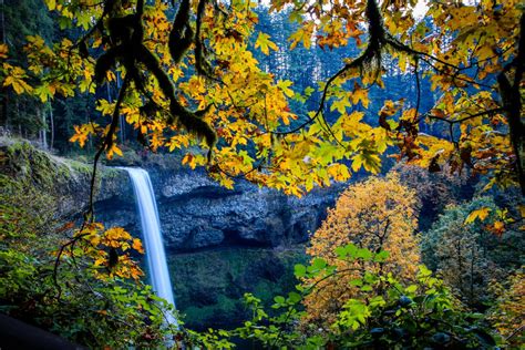 Silver Falls State Park – Archerfoto