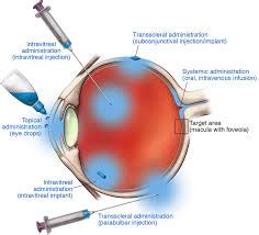 Possible Treatment Help for Dry AMD