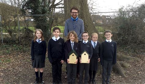 Hook Junior School receives nestboxes from developer for school grounds ...