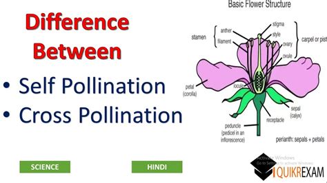 Self Pollination Examples