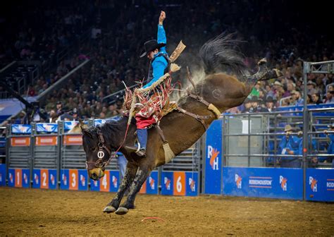 Houston Livestock Show and Rodeo (HLSR) - SilverKris