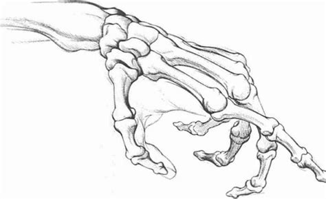 Skeleton Hand Drawing Tutorial at GetDrawings | Free download