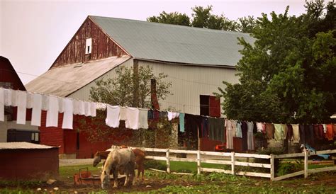 farm life | chestercountyramblings