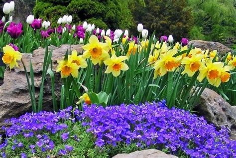 Spring Flower Garden Ideas - Flower Garden Pictures