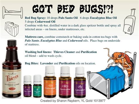 www.fb.com/HealingLotusAromatherapy | Essential oils herbs, Essential oils cleaning, Young ...