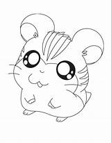Chinchilla coloring Page  Free Printable Pages Animals sketch template