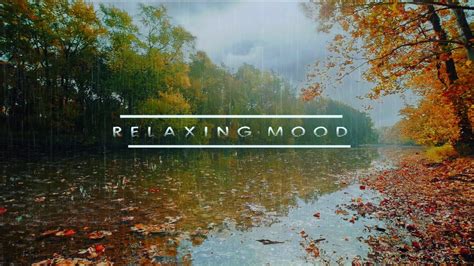 Nature sounds relaxing music rain - Relaxing music rainforest nature ...