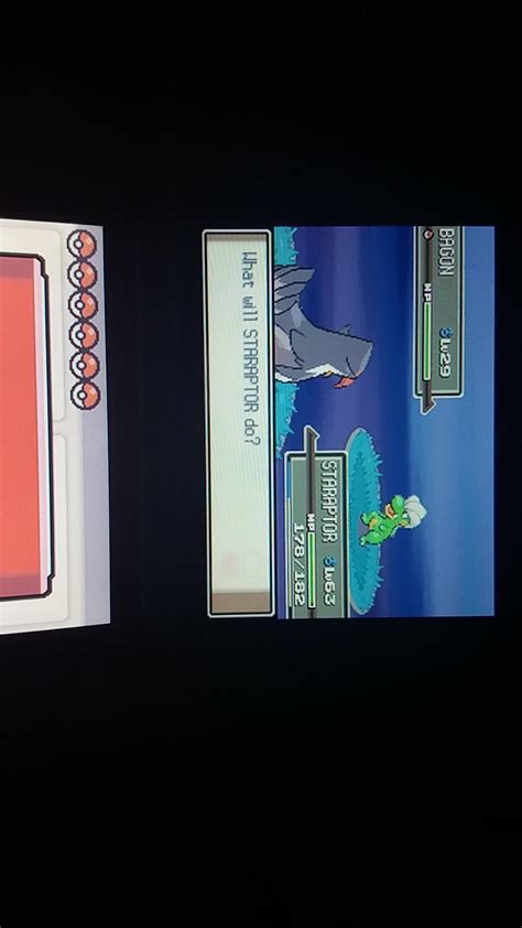 [4] Shiny Bagon in Platinum after a chain of 42 : r/ShinyPokemon