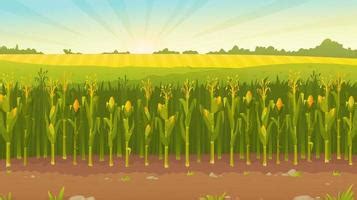 Animated Corn Field